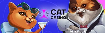 Cat Casino.